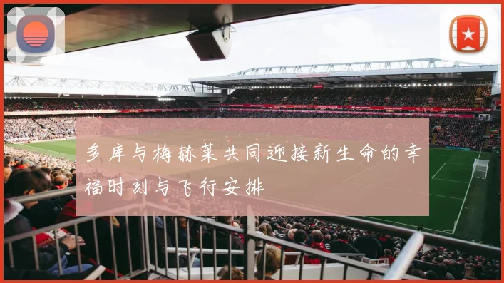 多库与梅赫莱共同迎接新生命的幸福时刻与飞行安排